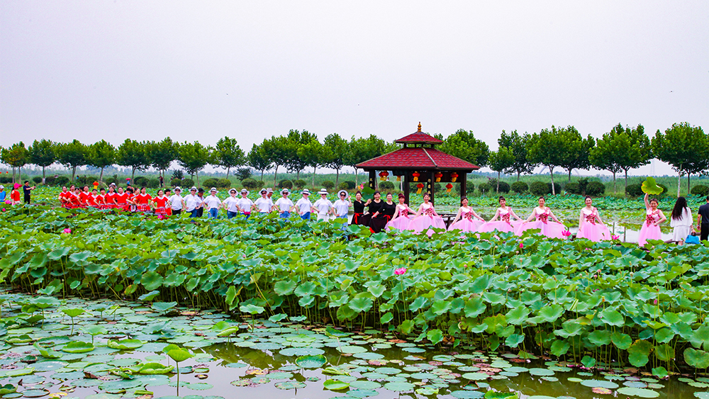 云臺農場“云水灣”濕地公園游人如織 (2).jpg